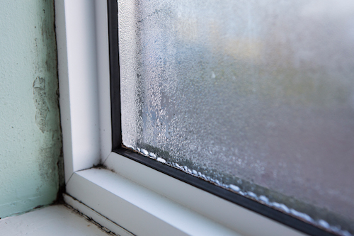How To Kill Mold On Window Sills